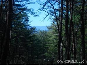 21 Comfrey Lane, Weaverville, NC 28787