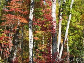 3111 Cove Loop Rd. #4 CK, Hendersonville, NC 28739