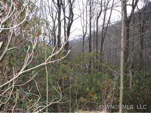 South Carolina Ter., Montreat, NC 28757