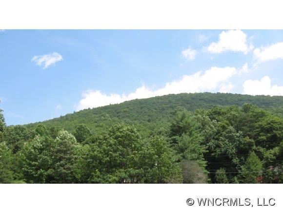 000 Seldom Home Drive, Black Mountain, NC 28711