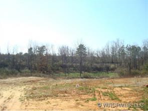 86 Crayton Road, Asheville, NC 28803