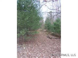 6 View Drive, Etowah, NC 28729