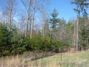 0000 Scoville Lane, Weaverville, NC 28787