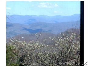 2454 Connestee Trail, Brevard, NC 28712