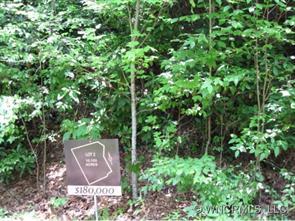 TBD Old Fort Road Lot2, Fairview, NC 28730
