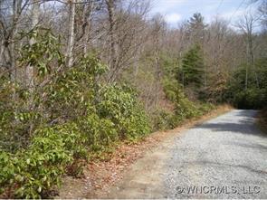 L1 & L2 Greenbrier #L1 & 2, Pisgah Forest, NC 28768