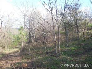 5220 Old Haywood Road, Mills River, NC 28759