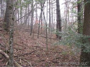 999 Old Gibbs Rd., Weaverville, NC 28787