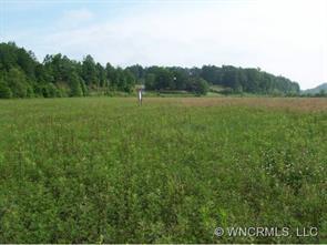 21 Acres Turnpike Road, Mills River, NC 28759