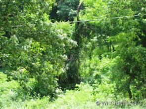 00 Flynn Branch Road #8, Asheville, NC 28804