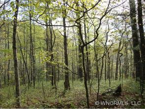 00 Steel Creek Road, Brevard, NC 28712