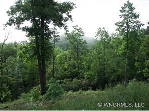 1 North Chase Lane, Rutherfordton, NC 28139