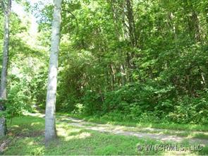 00 Mcdaris Cove Road, Weaverville, NC 28787