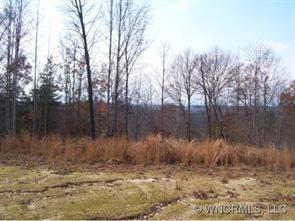 Lot 18 Wildwood Lane, Rutherfordton, NC 28139