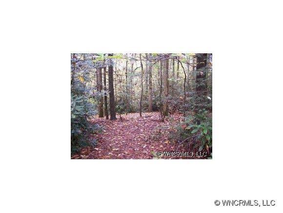 1  Tract Thissaway Rd., Brevard, NC 28712