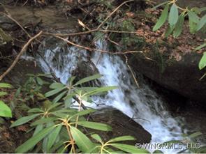 0000 Lower Flat Creek Rd., Black Mountain, NC 28711