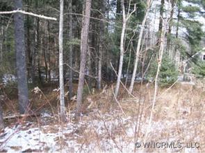 000 Pink Dogwood, Waynesville, NC 28786