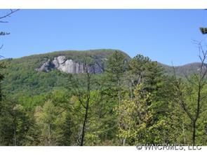 25 Rumbling Bald Road, Lake Lure, NC 28746