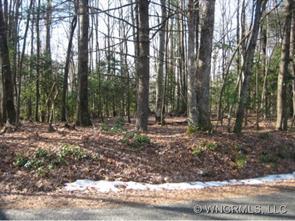 Seldon Emerson Road, Cedar Mountain, NC 28718