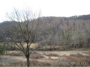 100 Moody Cove Rd, Weaverville, NC 28787