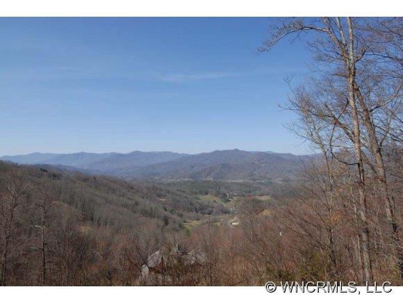 793 Hyacinth Dr, Clyde, NC 28721