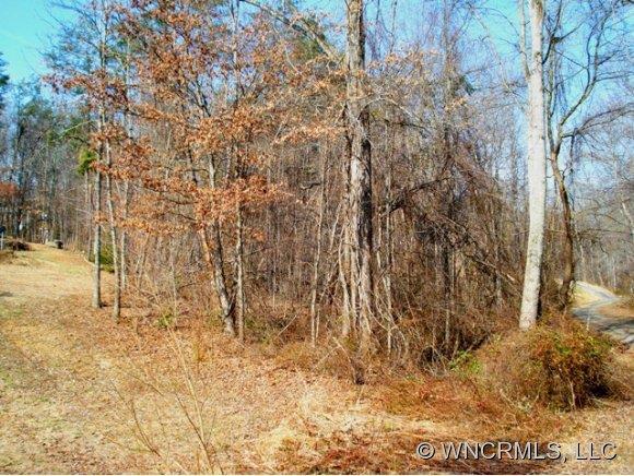 12 Kevin Memorial Drive, Candler, NC 28715