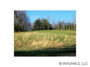 Lot 3 Willow Branch Ln. #3, Weaverville, NC 28787