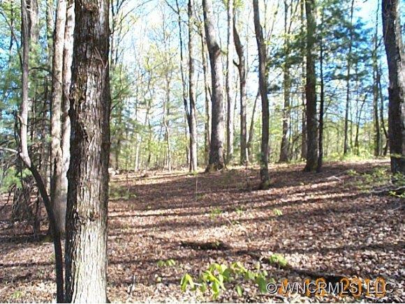 00 Seay Rd, Candler, NC 28715