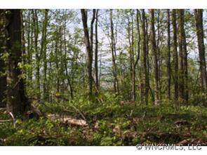 Lot 12 Hwy. 25/70, Marshall, NC 28753