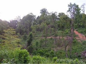 00 Maple Springs Rd., Asheville, NC 28805