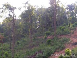 000 Maple Springs Rd., Asheville, NC 28805