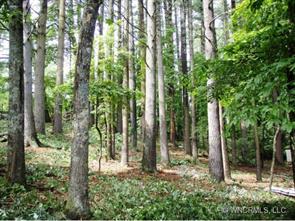 18 Chelsea Knoll View, Asheville, NC 28804