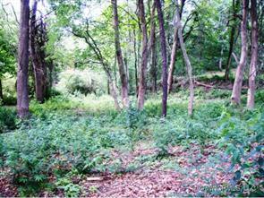 224 Waynesville Avenue, Asheville, NC 28806