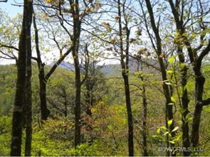 42 The Divide, Sylva, NC 28774