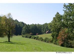 000 Old Pace Farm Lane #3, Hendersonville, NC 28739