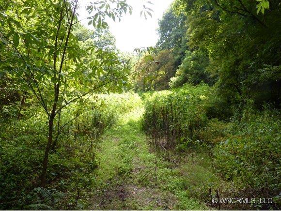 00 Moonstone Tr., Hot Springs, NC 28743