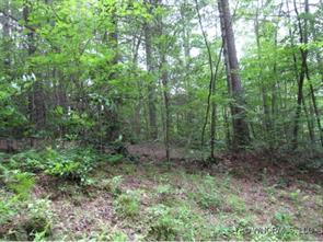 [Address Hidden by Seller], Brevard, NC 28712