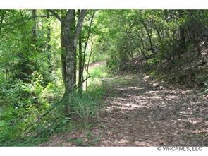 Lazy Acres Lane, Lake Lure, NC 28746