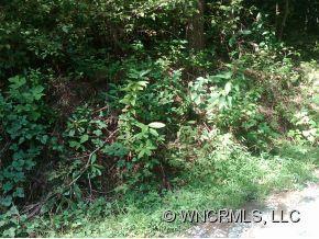 00 Glady Fork Rd., Brevard, NC 28712