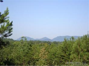 251 Holbert Cabin Ln, Tryon, NC 28722