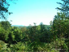 9999 Vine Street, Woodfin, NC 28804