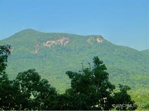 Lot 11 White Pine Drive (non-poa) #11, Lake Lure, NC 28746