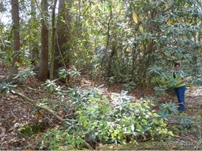 000 Kyles Creek Road, Hendersonville, NC 28729