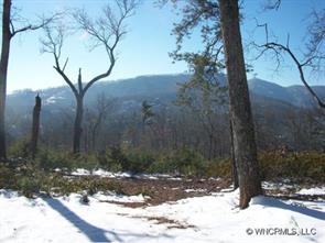 Lot B Garden Lane, Lake Lure, NC 28746