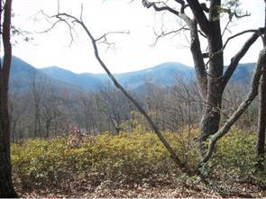 Lot C Garden Lane, Lake Lure, NC 28746