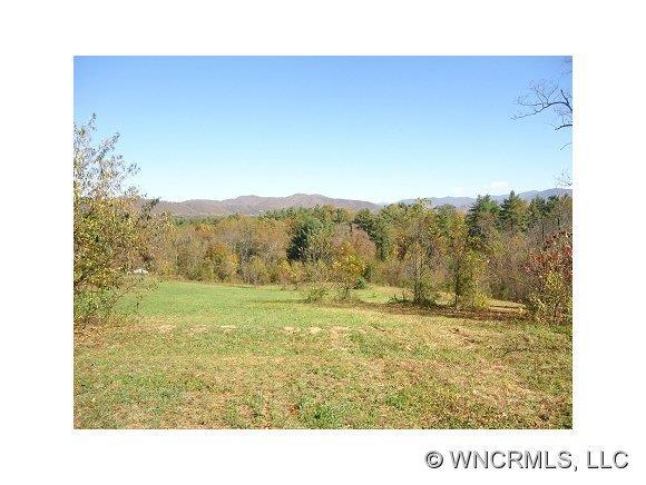 180 Stoney Knob Rd., Weaverville, NC 28787