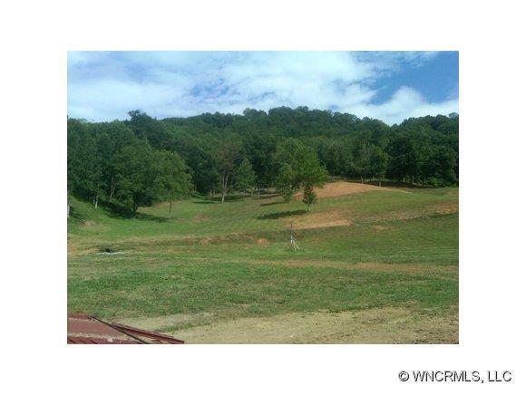 000 Wilson Cove Road, Canton, NC 28716