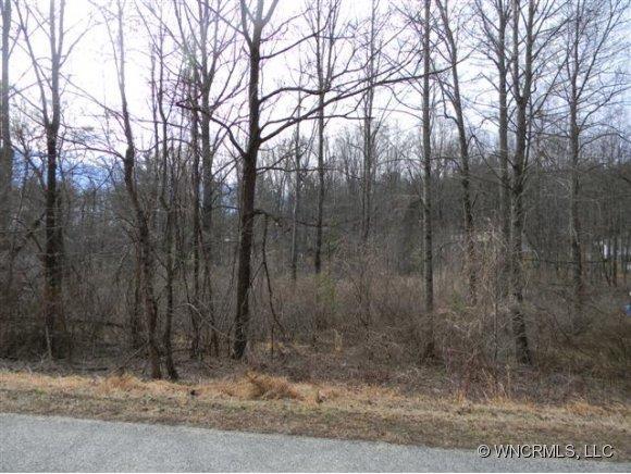 435 Stepp Road, Hendersonville, NC 28792