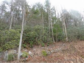 000 Hwy212, Marshall, NC 28753