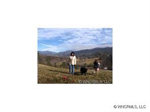 3376 Chapel Hill Rd., Marshall, NC 28753